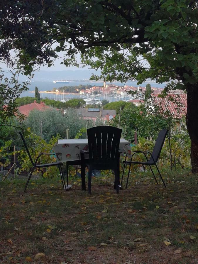 Apartment Jasmine Izola Exteriör bild